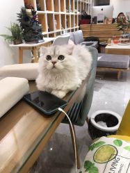 -隅日式美甲美睫專門店
