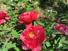 -江南大学(蠡湖校区)