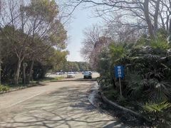-胜华驾校·小猫学车(银都店)