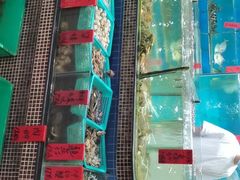 -海大大蒸汽海鲜餐厅·粤菜·特色小炒(欢乐颂店)