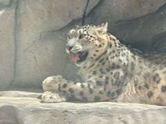 -青藏高原野生动物园