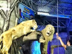 -清迈夜间动物园