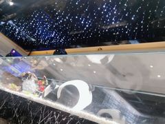 -红辣椒·川菜·火锅(大洋中心店)