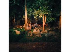 -清迈夜间动物园