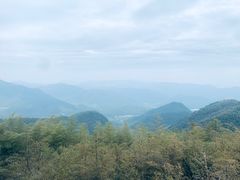 -莫干山风景区