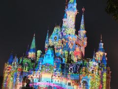 -上海迪士尼度假区