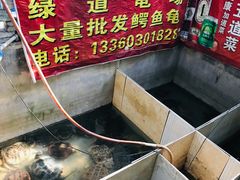 -龟场私房菜