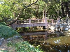 -叶家花园