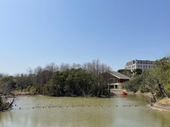 -上海吴淞炮台湾国家湿地公园