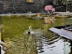 -锦江都城经典达华静安寺酒店·餐厅