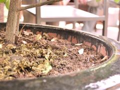 -亦缘居私家别院
