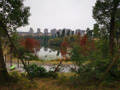 -东岳体育公园