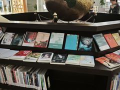 -上海浦东图书馆(总馆)