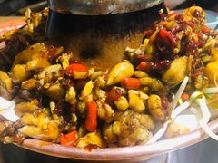 特色牛蛙锅-超越炭火牛蛙火锅鸡(河东店)