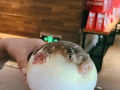 -永安鱼庄·镇江菜(东吴路店)