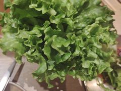 -西塔老太太泥炉烤肉(沈阳店)
