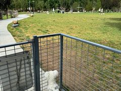 -爪吧宠物乐园 (温榆河示范区店)