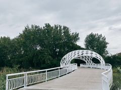 -同里国家湿地公园