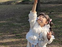 -阳澄湖半岛旅游度假区