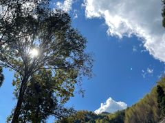 -MOJ coffee(瓯海泽雅水碓坑店)