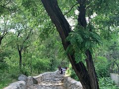 -阳台山自然风景区