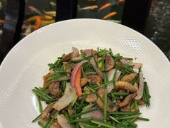 -龙悦湾酒家·八阵鱼生·渔人码头店