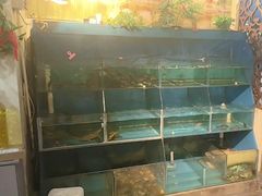 -湘当有味(宋诏桥一店)