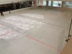 -陈露国际冰上中心(天津嘉里汇店)