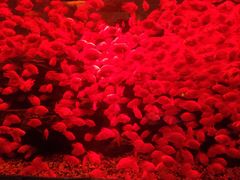 -多彩贵州城极地海洋世界