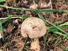 -汉长安城未央宫国家考古遗址公园