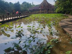 -曼听御花园