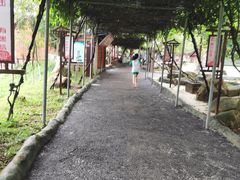 -牛鱼嘴原始生态风景区
