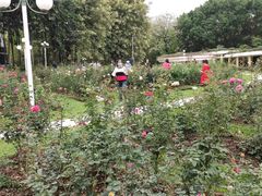 -人民公园(罗湖区)