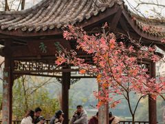 -重庆彩云湖湿地公园