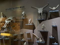 -大庆市博物馆