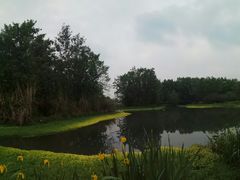 -桤木河湿地公园