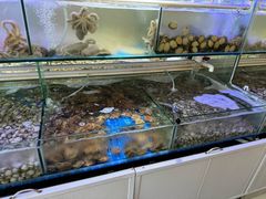 -四海蒸鲜蒸汽海鲜自助(北戴河店)