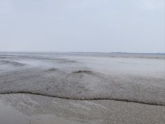 -观潮胜地公园