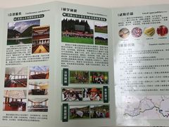 -武陵山森林公园