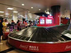 -厦门高崎国际机场-T3航站楼