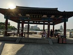 -莲花池公园