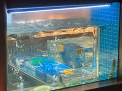 -海味世家·家常菜馆(明州里店)