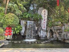 -广州市流溪河国家森林公园