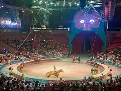 -俄罗斯国家大马戏团