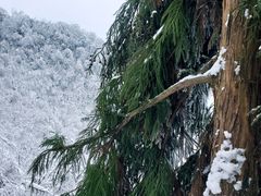 -九峰山