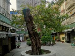 -华林禅寺