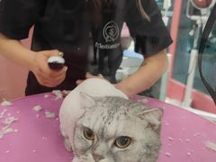 -FAELING PETS美天灵宠物(合生汇店)