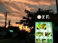 -茉莉.Red Crab
