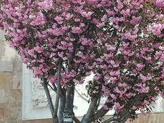 景点-沈阳南湖公园