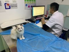 -特一安24小时宠物医院·骨科·中兽医